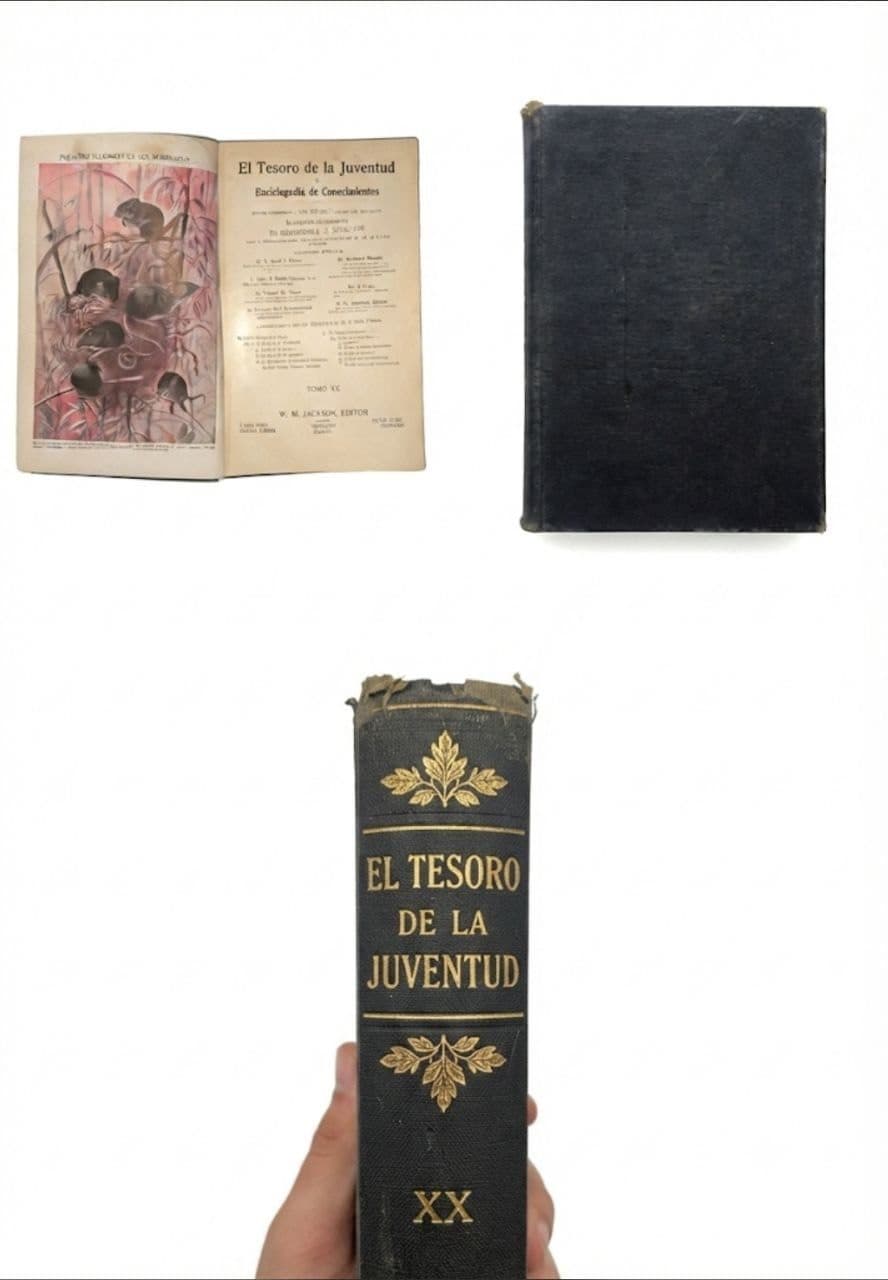 El Tesoro de la Juventud – Tomo XX